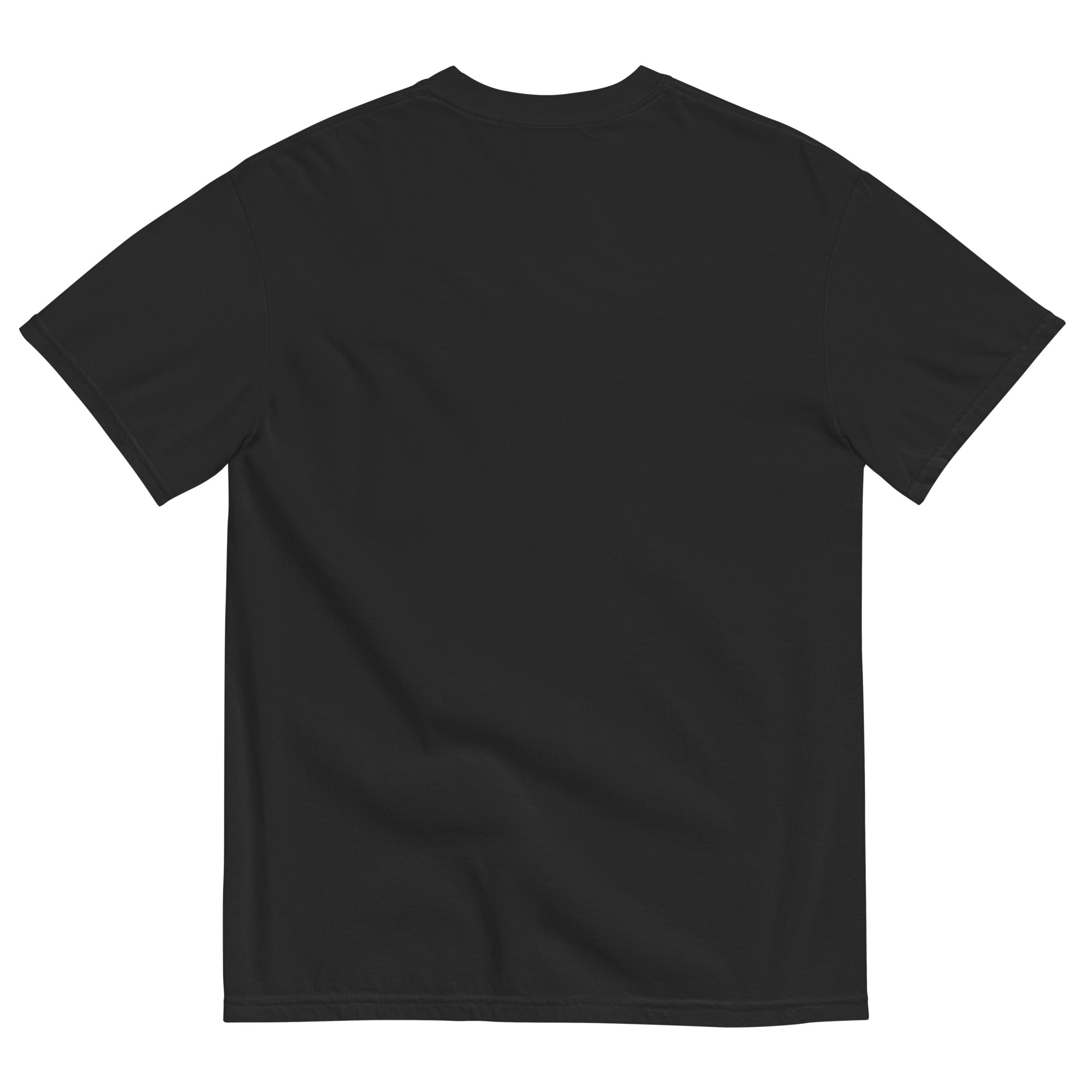 Unisex garment dyed heavyweight t shirt black back 6a1654672a638.jpg
